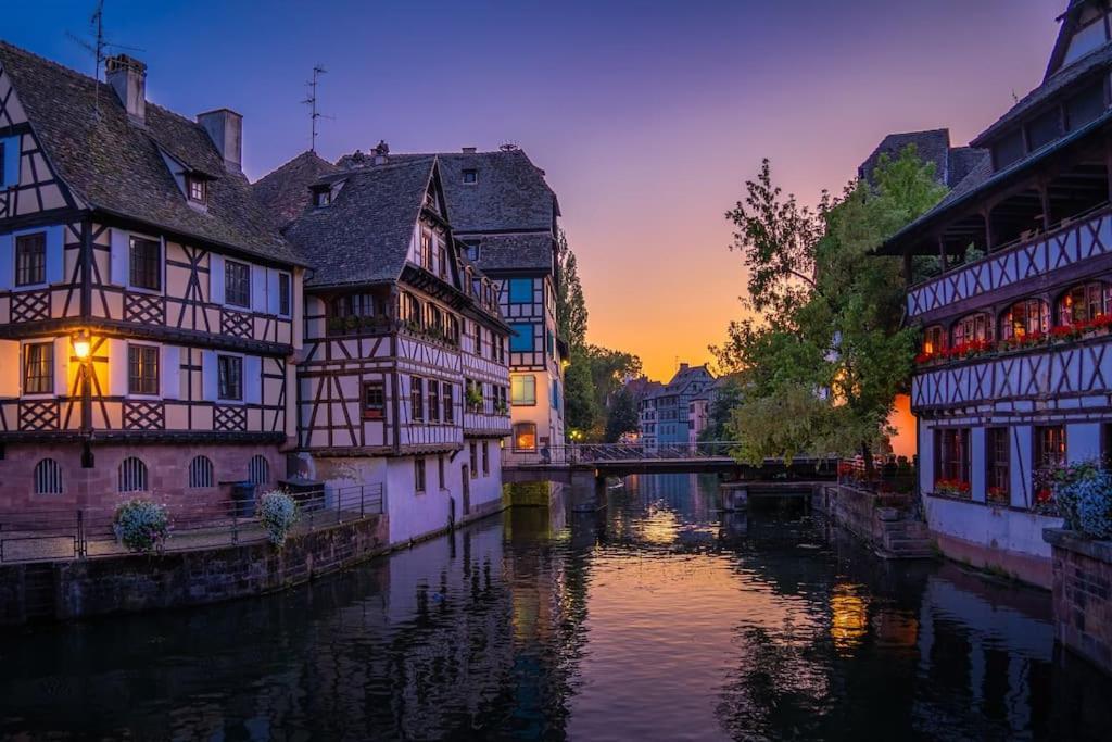 Le Jardin Paisible-Proche Centre Daire Obernai Dış mekan fotoğraf