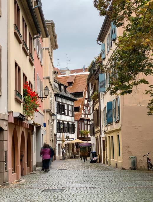 Le Jardin Paisible-Proche Centre Daire Obernai Dış mekan fotoğraf
